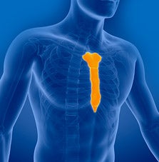 Sterno-Clavicular Joints MRI scan Sterno-Clavicular Joints MRI scan
